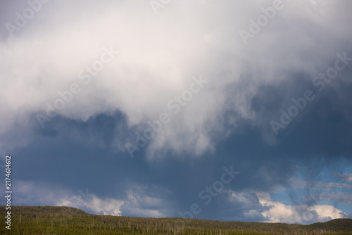 Foto Threatening dark dramatic sky over a pine forest, bad weather building up as a n