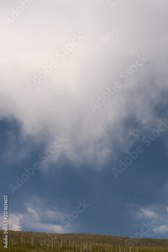 Foto Threatening dark dramatic sky over a pine forest, bad weather building up as a n