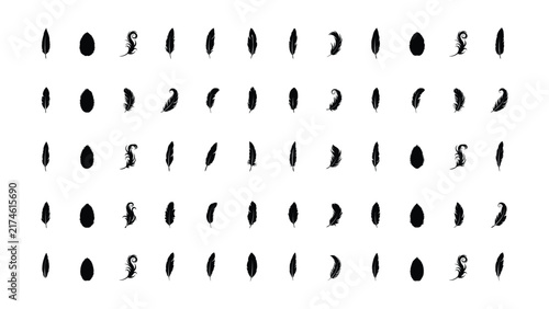 A collection of various black bird feather silhouette icons arranged in a grid pattern isolated on a white background