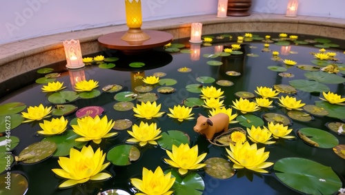 Sacred water pool adorned with vibrant blooming yellow lotus flowers with pads illuminated candles