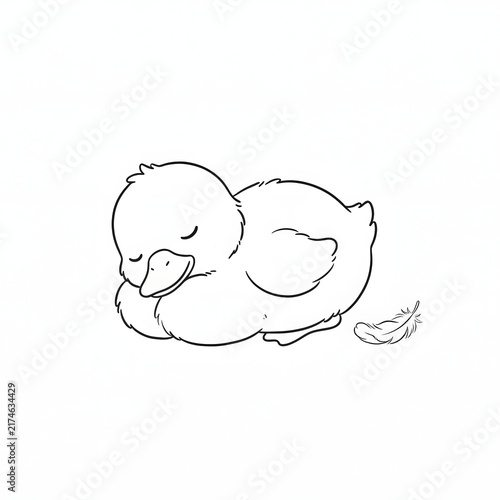 Cute baby duckling sleeping peacefully beside soft feather on white background