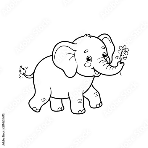 Cute baby elephant holding pink flower with raised trunk in playful gesture