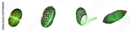 Set of 3D render microscopic cells with glowing green inner structures