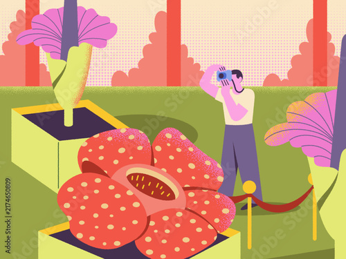 Photography Rafflesia Flower Museum Illustration