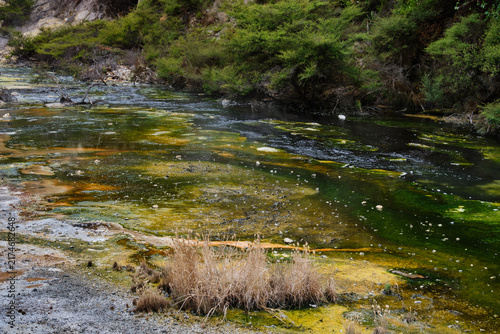 Hot water creek in Waimangu Volcanic Valley - Rotorua, New Zealand