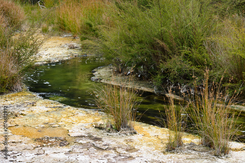 Hot water creek in Waimangu Volcanic Valley - Rotorua, New Zealand