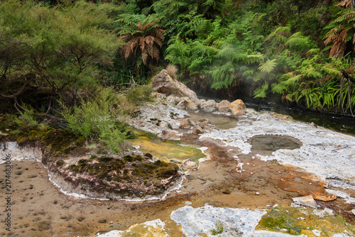 Hot water creek in Waimangu Volcanic Valley - Rotorua, New Zealand