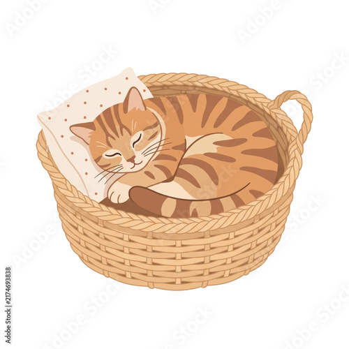 Cozy Cat Sleeping in Woven Basket Flat Vector