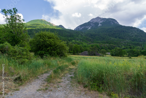 Bild auf Leinwand An unpaved country trail leads through wild grasses toward layered mountain ridges covered in dense forest
