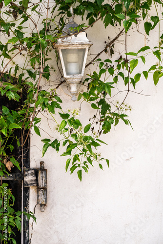 Rustic lamp and creeping vines.