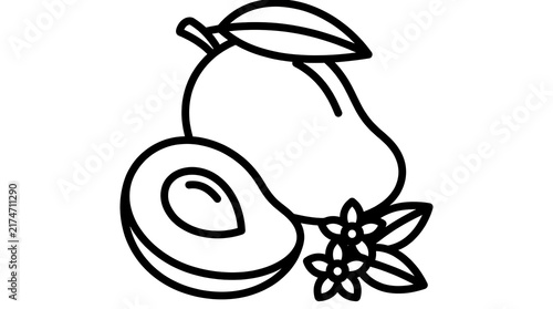 Black outline mango sketch with fruit half showing seed and floral elements created for coloring book pages or simple culinary logo vector templates.