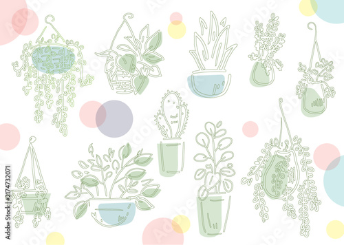 グリーンの観葉植物のセット
