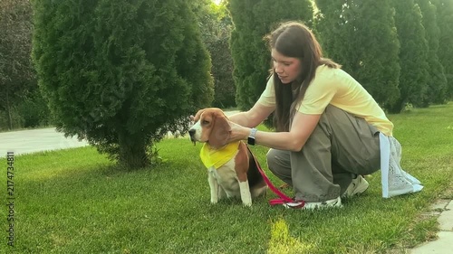 Pet lover pets a beagle dog during outdoor training in a park, canine bonding, affection, obedience practice and animal companionship.