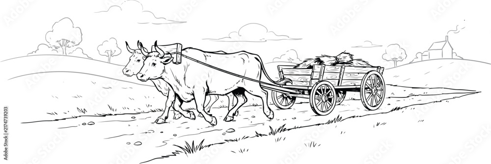 Obraz premium Ox Cart Outline. Sketch of Cattle Team Pulling Wooden Wagon. Rural Countryside Farming Scene Line Art. Old Fashioned Transport Illustration. Vintage Agriculture Concept Drawing