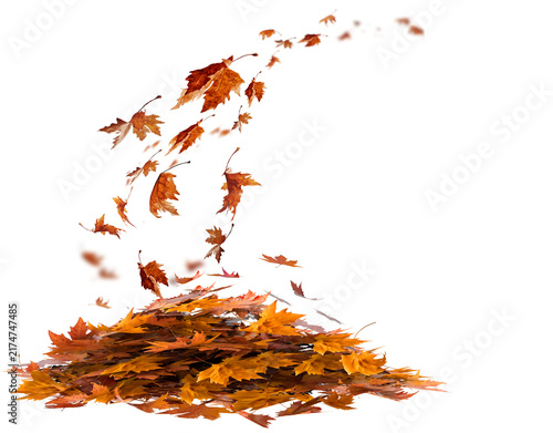 leaves autumn falling pile background isolated