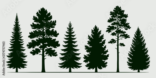Pine fir spruce and conifer forest trees line landscape silhouettes set
