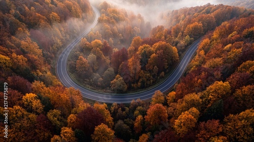 Aerial view of winding road through colorful autumn forest with morning mist and fall foliage