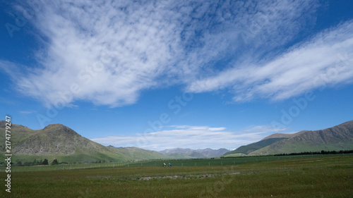 Scenic Landscape in New Zealand with Rolling Hills
