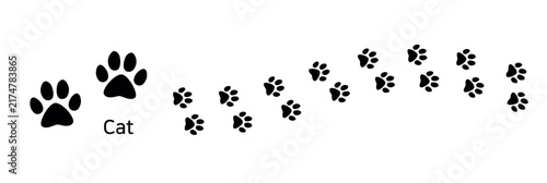 6.Cat. These are cat paw prints. This is a vector illustration showing the traces a cat has walked and its gait pattern