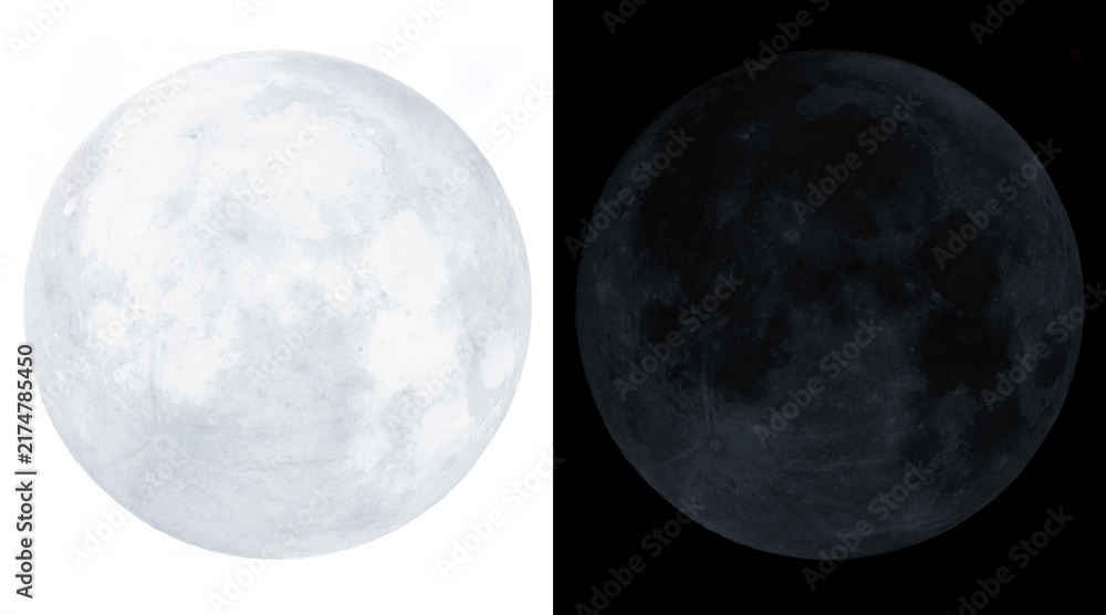 Obraz premium Full moon illustration set on white and black backgrounds, realistic lunar surface texture, celestial satellite graphic for astronomy design