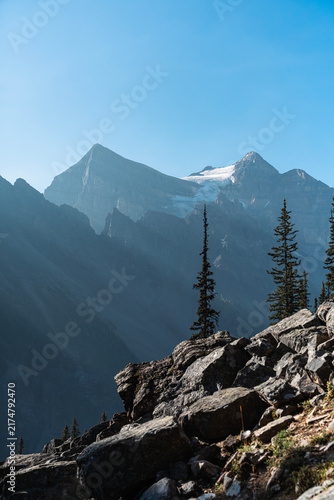 Fairview Mountain and Conifers Viewed from Rocky Lake Agnes Trail in Morning Light
