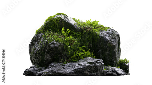 Green Mossy Boulder Mountain with Ferns Isolated on White Background