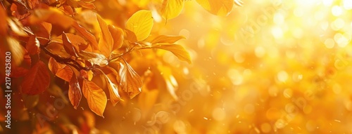 Beautiful autumn landscape with colorful foliage in the park.