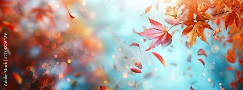 Colorful leaves in the autumnal park.