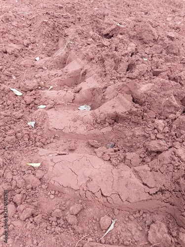 Texture of clumpy red soil with a heavy agricultural vehicle wheel print.