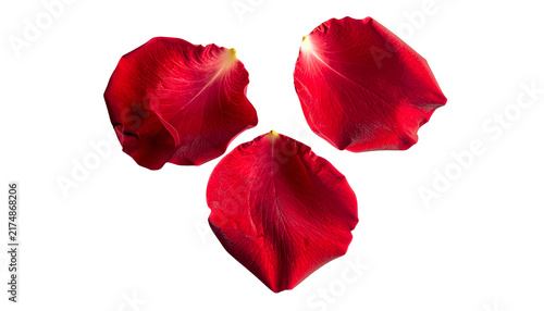 Three isolated, vibrant red rose petals are arranged against a black background. Each petal displays subtle folds and textures