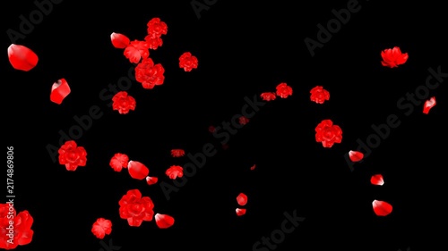 Rose Petals and Flowers Flying from Background to Foreground - Alpha Channel File