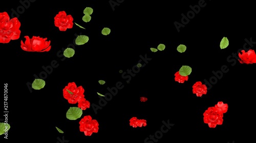 Rose Flowers and Leaves Flying from Background to Foreground - Alpha Channel File