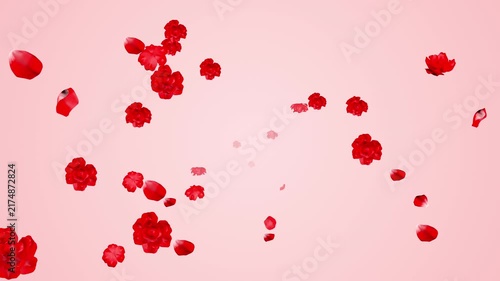 Rose Petals and Flowers Flying from Background to Foreground - Pink Color Background