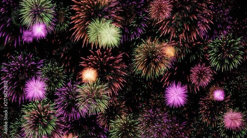 Exploding Fireworks Bloom with Soft Light in Celebration