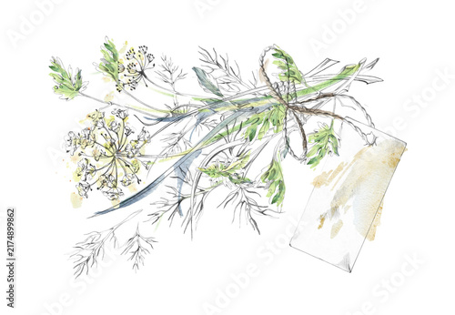 Assorted herbal bundle with twine tie, blank paper label tag. Dill, parsley culinary plants, fragrant leaves rustic kitchen harvest composition. Isolated hand drawn pencil and watercolor illustration.