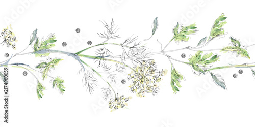 Cumin, dill aromatic spices, fennel, cardamom culinary herbs, cilantro or coriander fragrant leaves. Isolated hand drawn pencil and watercolor seamless banner. Cooking magazines, ingredient guides