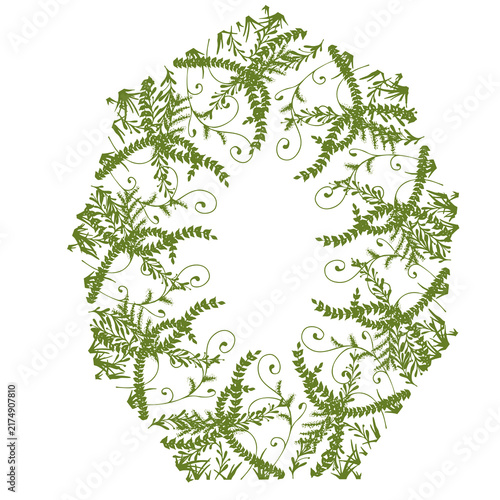 botanical foliage frame with decorative vines and leaves on white background