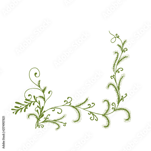 botanical foliage frame with decorative vines and leaves on white background