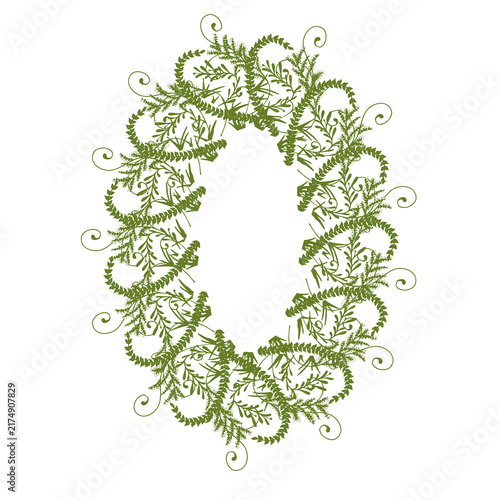 botanical foliage frame with decorative vines and leaves on white background