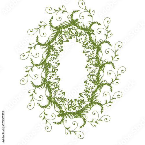 botanical foliage frame with decorative vines and leaves on white background