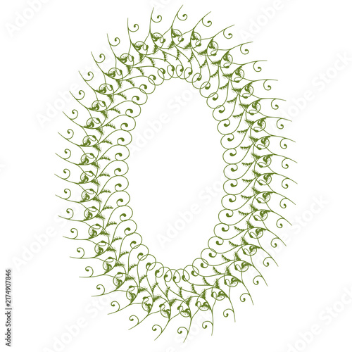 botanical foliage frame with decorative vines and leaves on white background
