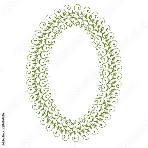 botanical foliage frame with decorative vines and leaves on white background