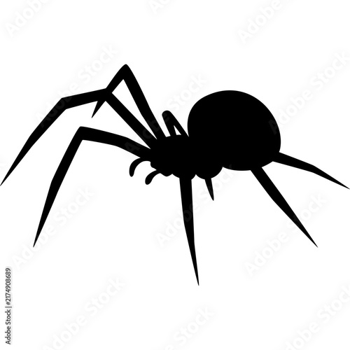 Spider Silhouette Vector