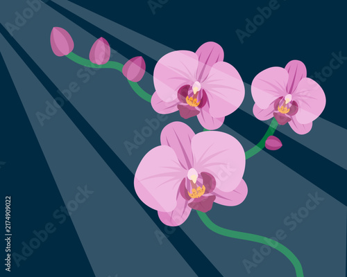background with orchid