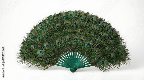 Decorative peacock feather hand fan.