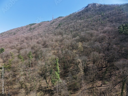 Fotografía Aerial view of Tampa Mountain peak with forest and Hollywood style Brasov sign,