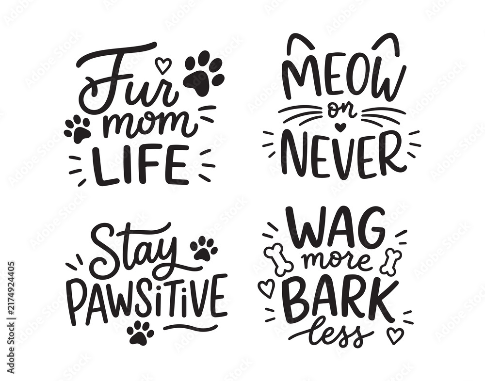 Fototapeta premium Hand drawn pet phrase lettering set with paw prints hearts and playful doodles, with pet, paw, print, heart detail, showing whisker, bone, doodle, handdrawn context