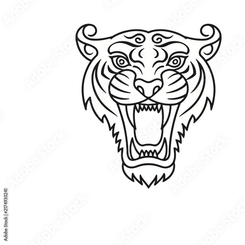 Tiger Head Illustration