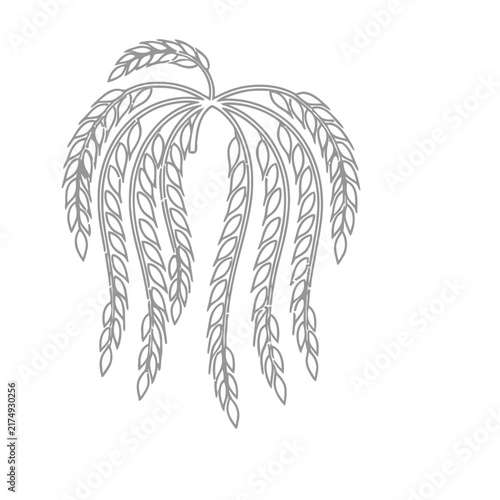 Wheat ears outline