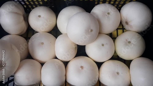 Honeydew white skinned melon fruits video footage. Snow melon healthy nutritional sweet fruit. Honeydew melon sweet and juicy fruit as healthy nutritional ingredients. 